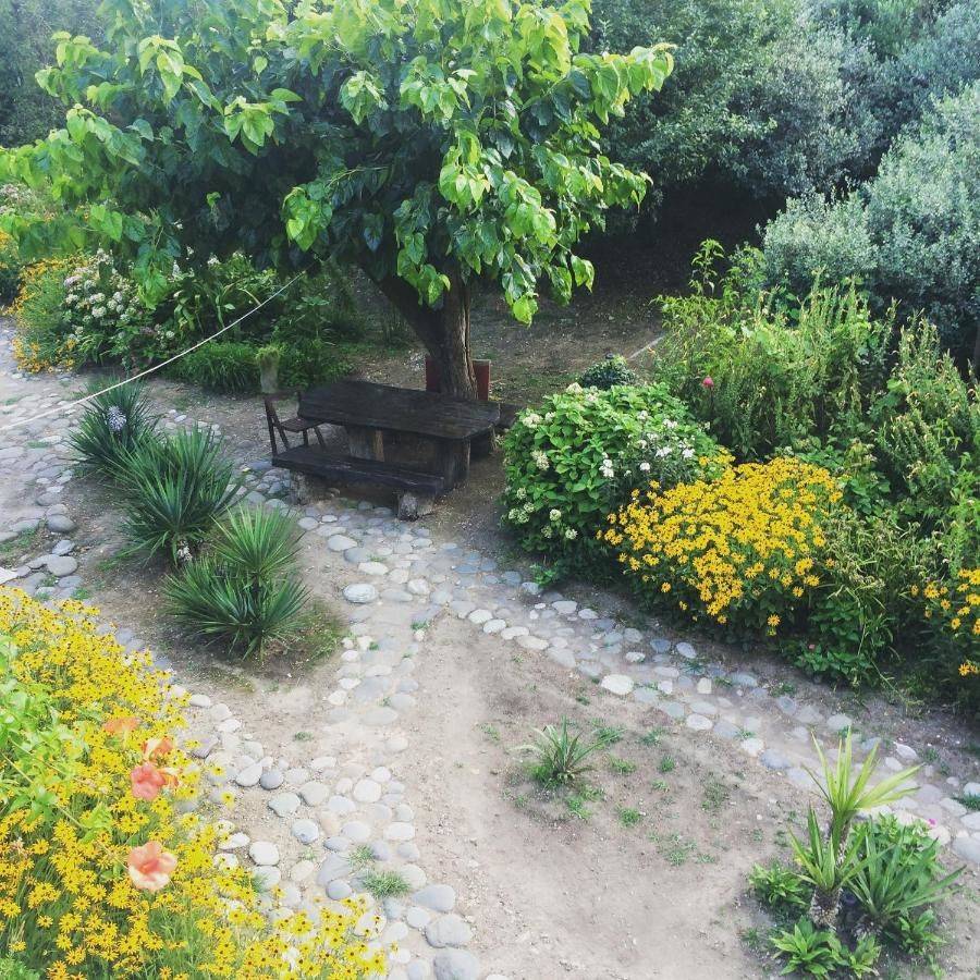 Фото Гостевого дома Место под солнцем Lidzava 4